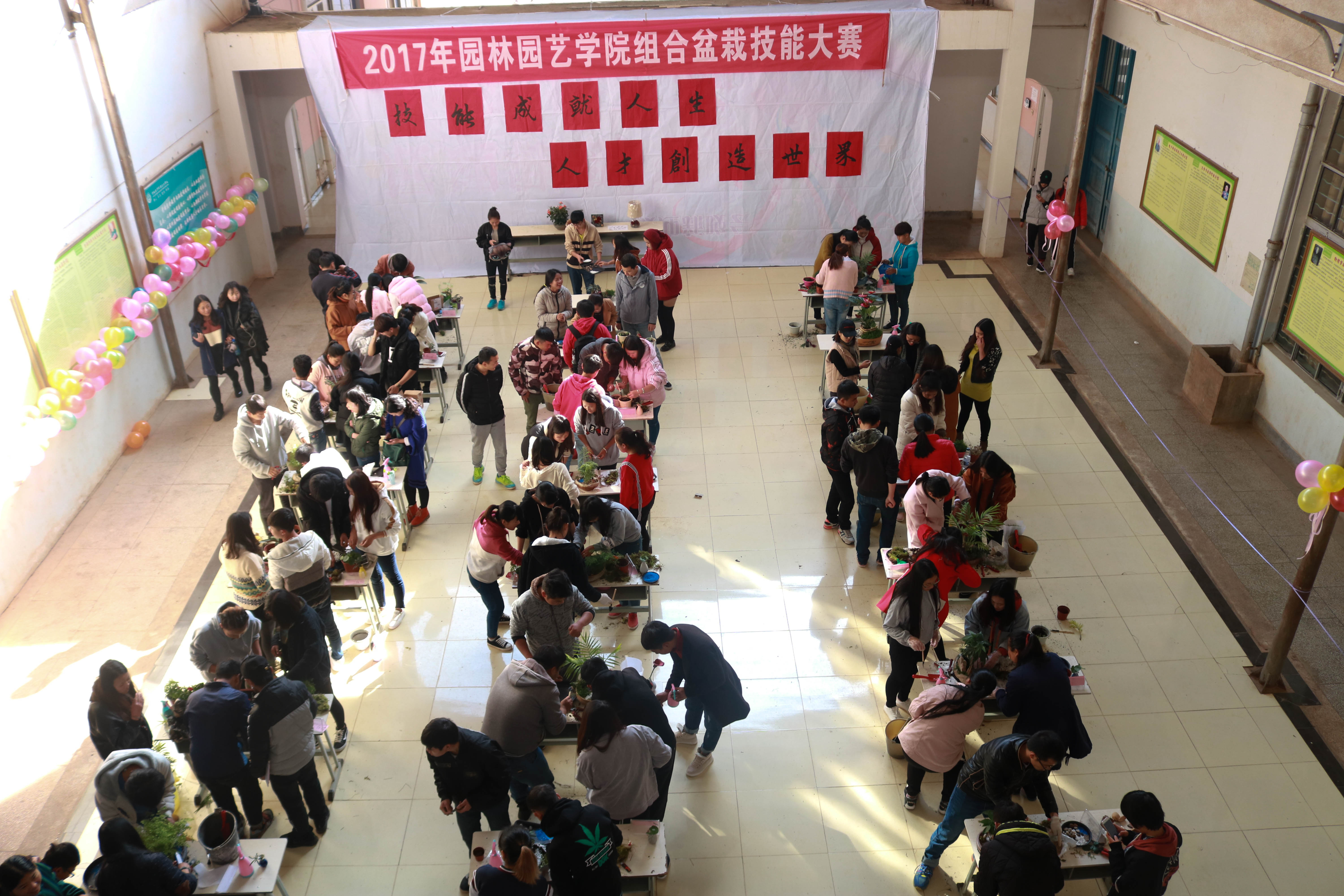2017年园林园艺学院组合盆栽技能大赛比赛现场