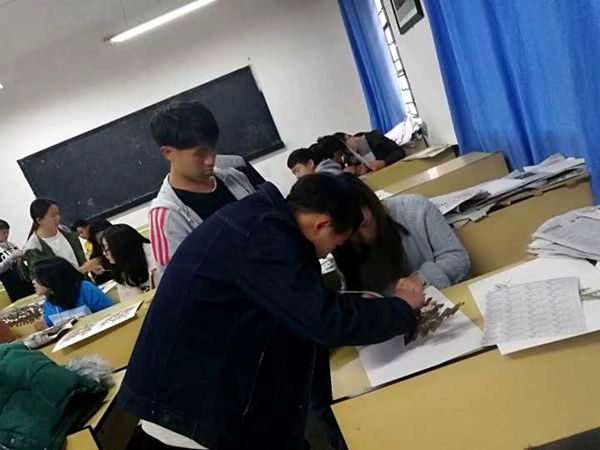 园林园艺学院林业技术专业举办标本制作大赛