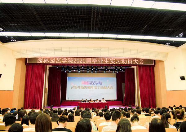 以昂扬激情，踏实习征程