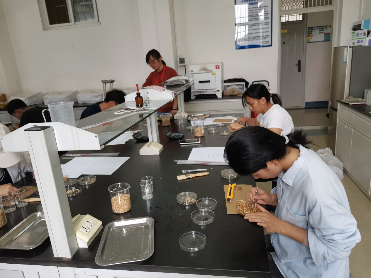 云南农业职业技术学院第一届“农作物种子质量检测”技能大赛圆满完成