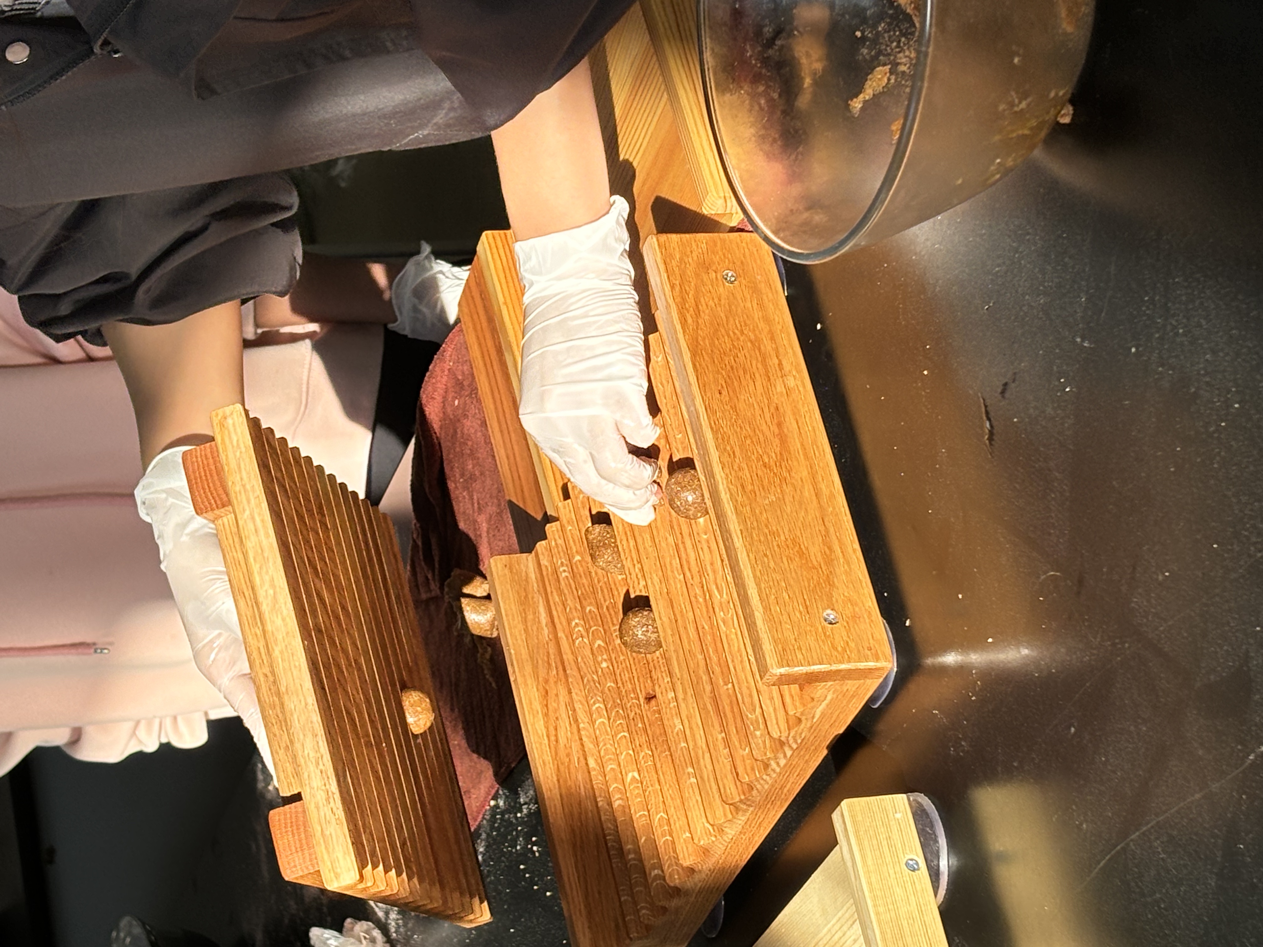 弘扬中医药传统文化的青春力量 ——我院中药材生产与加工专业教研室联合中药社成功举办系列活动